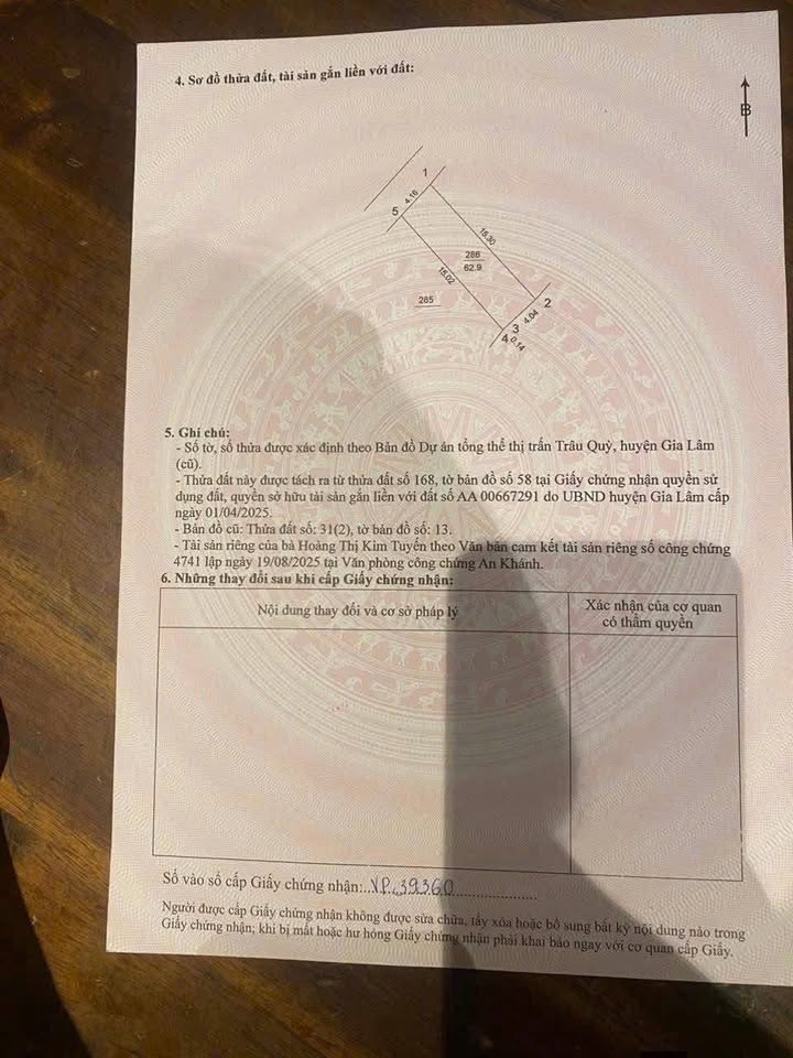 Đất nền Trâu Quỳ, Gia Lâm 62.9m² giá chỉ 7.36 tỷ - Đầu tư sinh lời ngay!