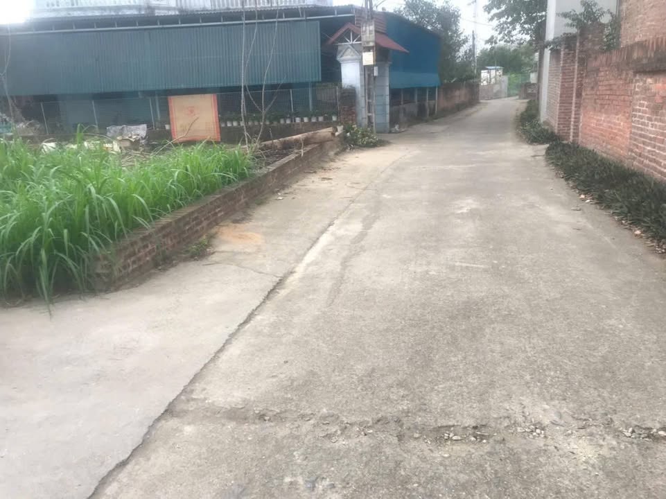 Đất nền thổ cư 93m² thôn Thái Lai - Vị trí đắc địa gần sân golf - Giá tốt chỉ từ 20 triệu/m²!