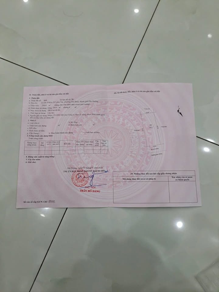 Đất biệt thự mặt đường Nguyễn Đình Bể, Hải Dương 250m² - Hàng hiếm, giá trị đầu tư cao!