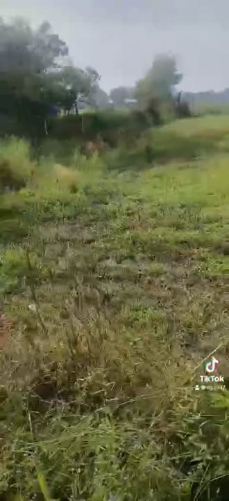 Đất nền xã Hiệp Hòa 120m² giá chỉ 2 tỷ - Tiềm năng phát triển vượt bậc!