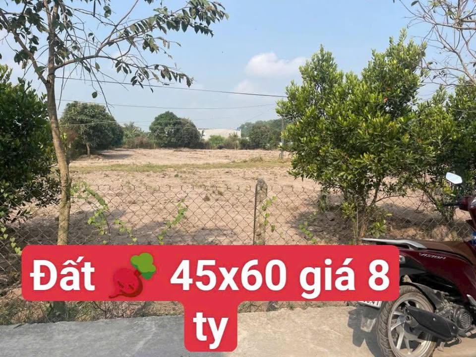 Đất vườn mặt tiền đường bê tông 2700m² giá 8 tỷ - Cơ hội đầu tư tuyệt vời!