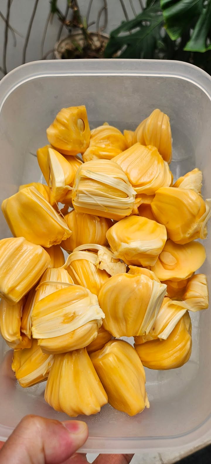 Đất nền góc 2 mặt tiền huyện Củ Chi 152m² giá 2 tỷ - Cơ hội vàng cho nhà đầu tư!