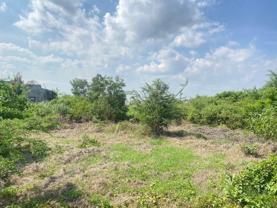 Đất thổ cư Hàm Thắng 100m² giá 690 triệu - Nhanh tay sở hữu!