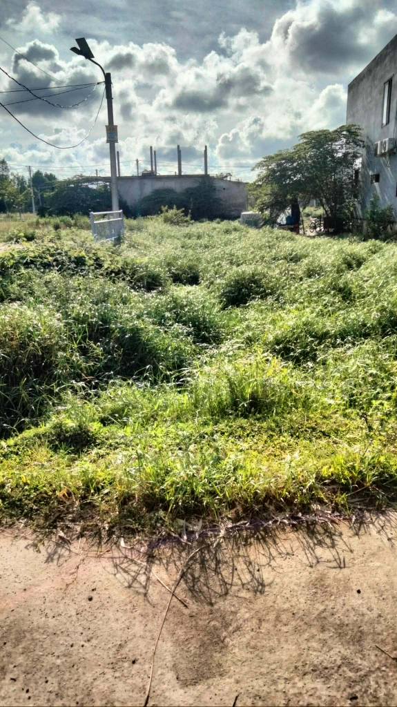 Đất nền kiệt Trịnh Cương, Phú Bài 150m² giá 1.4 tỷ - Vị trí đắc địa gần trường học!