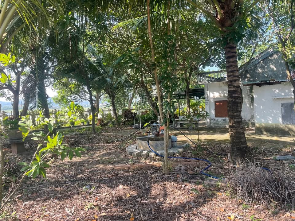 Nhà vườn An Mỹ, Tuy An 840m² chỉ 3 tỷ - Cách biển 1,5km!