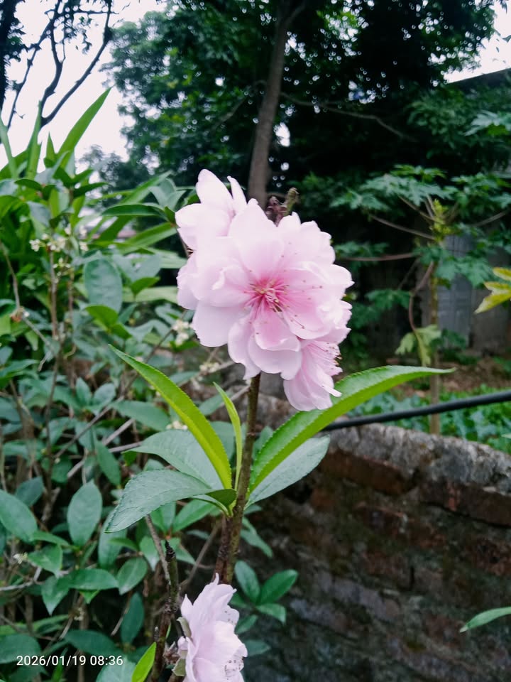 Đất nền Kim Bôi Hòa Bình 400m² giá 3 tỷ - Cơ hội đầu tư tuyệt vời!