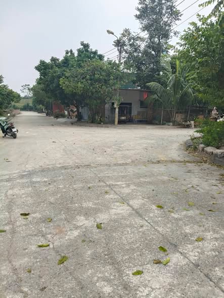 Lô góc vàng 80m² tại Huyện Gia Bình - Giá tốt, vị trí đắc địa gần công viên