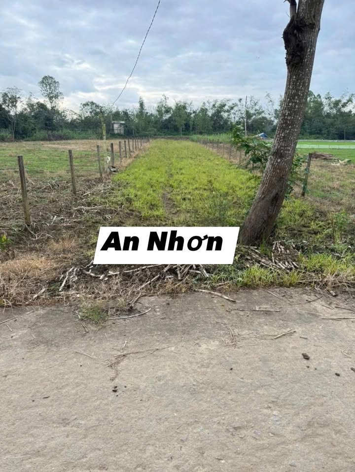 Đất vườn Bắc Nhạn Tháp - Nhơn Hậu 910m² giá 200 triệu - Đầu tư lý tưởng!