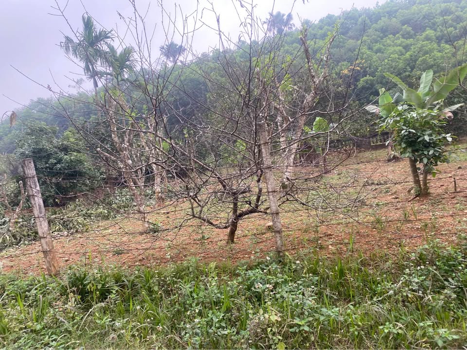 Đất nền Yên Bình 154m² giá 600 triệu - Cơ hội đầu tư tuyệt vời!