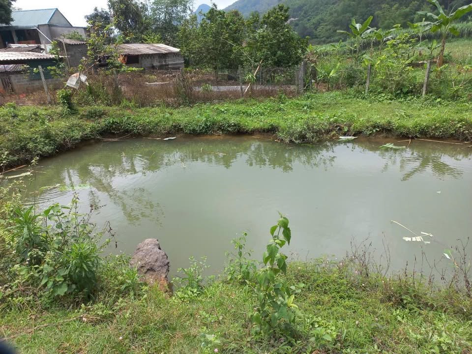 Đất nền xã Cao Phong, Huyện Cao Phong 2313m² giá 1 tỷ - Cơ hội đầu tư tuyệt vời!