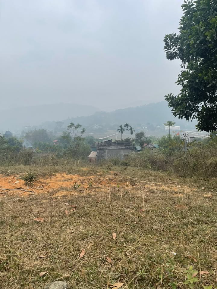 Đất nền thổ cư 200m² tại Thôn Đông Xuân, Quốc Oai - Giá thương lượng hấp dẫn!