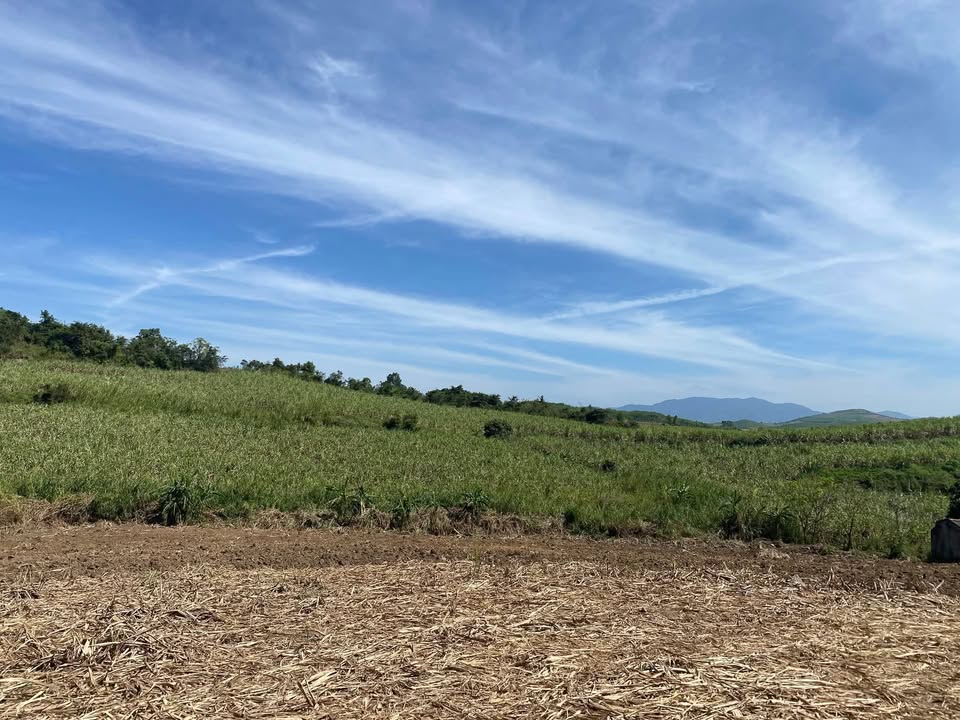 Đất rẫy 2,6ha tại An Bình, Đắk Lắk - Cơ hội đầu tư tuyệt vời!