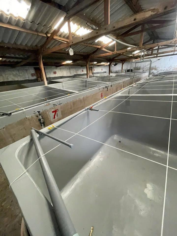 Farm nuôi thủy sản tôm giống tại Vĩnh Hải, Ninh Thuận - Diện tích 1200m², giá 4 tỷ - Cơ hội đầu tư hấp dẫn!