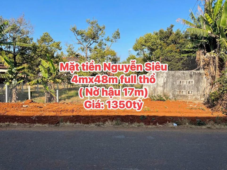 Đất mặt tiền Nguyễn Siêu, P. Diên Hồng, 308m² giá chỉ 1.35 tỷ - Cơ hội đầu tư tuyệt vời!