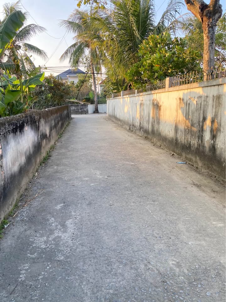 Đất nền Quảng Vinh Sầm Sơn 98m² giá 600 triệu - Cơ hội đầu tư hấp dẫn!