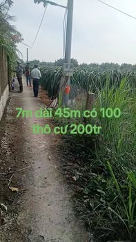 Đất thổ cư 315m² tại An Thạnh Thủy, Chợ Gạo - Giá chỉ 200 triệu!