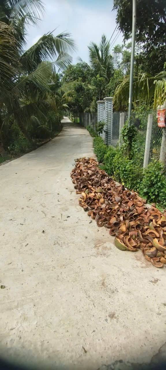 Đất nền 5.000m² tại Xã Phú Quới - Giá chỉ 1.4 tỷ - Đầu tư sinh lời cao!