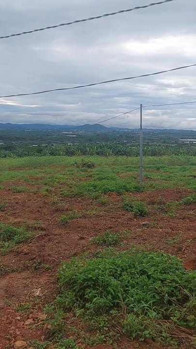 Đất thổ cư Xã Tân Hòa, Huyện Châu Thành A 9,2 sào - Giá chỉ 5,5 tỷ!