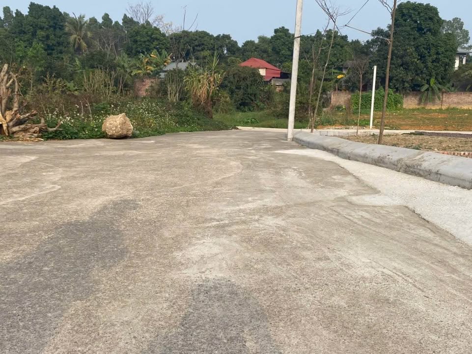 Đất nền Hướng Đạo, Tam Dương, Vĩnh Phúc 108m² - Cơ hội đầu tư hấp dẫn!