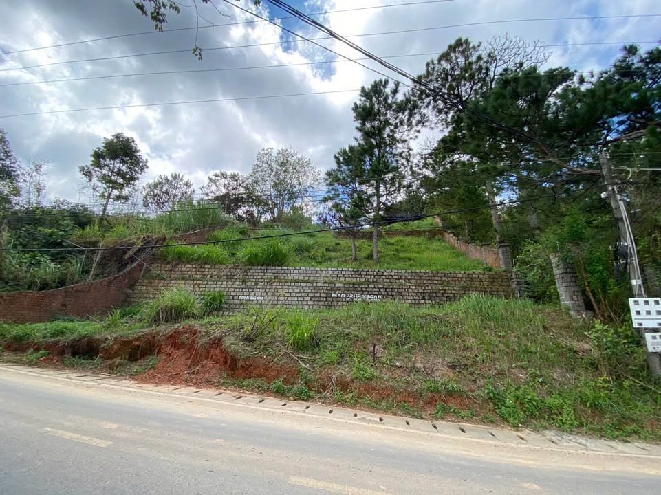 Đất mặt tiền Đống Đa, phường Xuân Hương, Đà Lạt 600m² giá 42 tỷ - Cơ hội đầu tư lý tưởng!