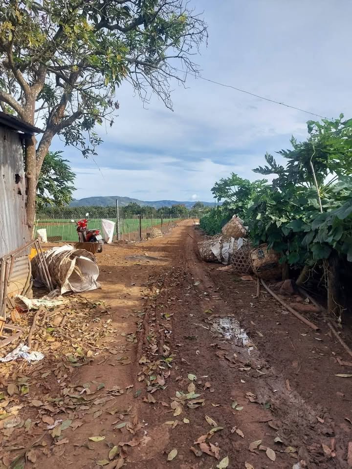 Đất nông nghiệp tại Đức Trọng 386m² giá 1 tỷ - Phát triển thổ cư tối ưu!