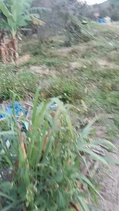 Đất rẫy đường T18 Đắk Xú 10ha - Tiềm năng phát triển lớn!