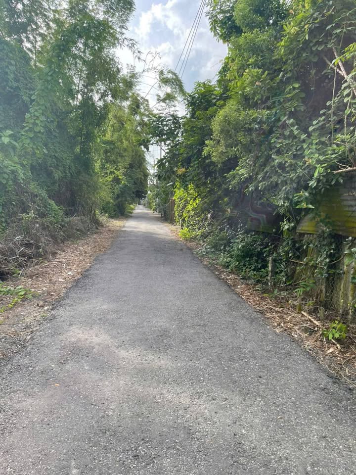 Đất nền Phường Mỹ Thới, Long Xuyên 190m² giá 1 tỷ - Đầu tư sinh lời hấp dẫn!