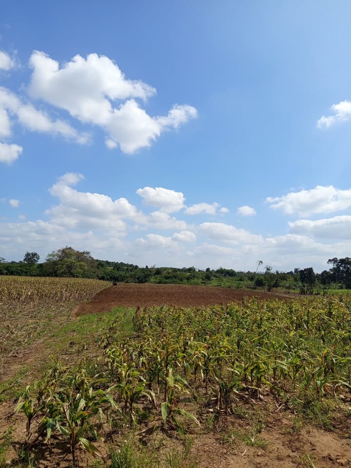 Đất nền 7,2 sào tại thị trấn Ea Kar chỉ 700 triệu - Cơ hội đầu tư tuyệt vời!