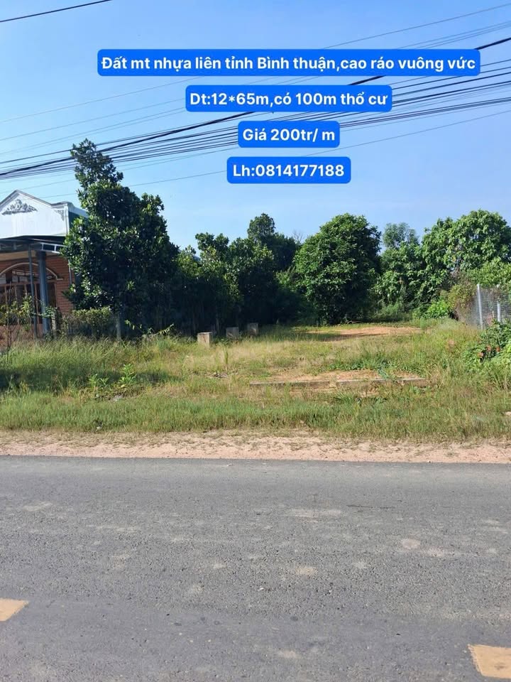 Đất nền mặt tiền đường nhựa 30-4, Thị trấn Đức Tài 780m² giá 1.56 tỷ - Đầu tư sinh lời ngay!