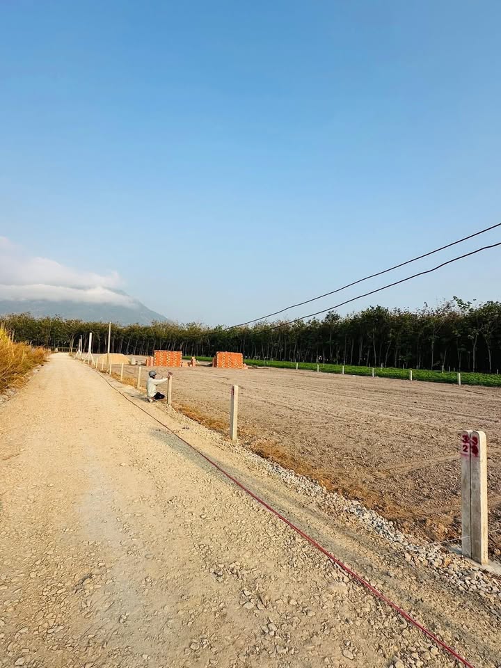 Đất thổ cư tại xã Phước Thạnh, Huyện Gò Dầu 145m² - Giá đầu tư hấp dẫn!