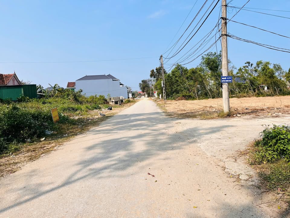 Đất nền đường Hoàng Đan, Nghi Hương, 200m² chỉ 4.3 tỷ - Cơ hội đầu tư tuyệt vời!