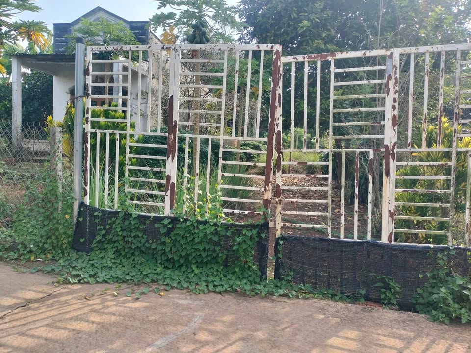 Đất nền Kim Long Bà Rịa 274m² giá 1.35 tỷ - Đầu tư sinh lời ngay!