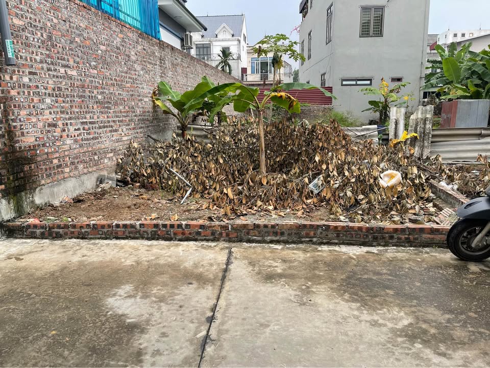 Đất nền thổ cư Lạc Nông, Mai Đình, Sóc Sơn 93,6m² - Vị trí đắc địa, giá thỏa thuận!