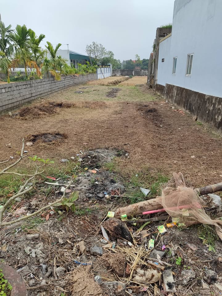 Đất nền tại xã Nga Phú, Huyện Nga Sơn, 160m² - Đầu tư sinh lời ngay!