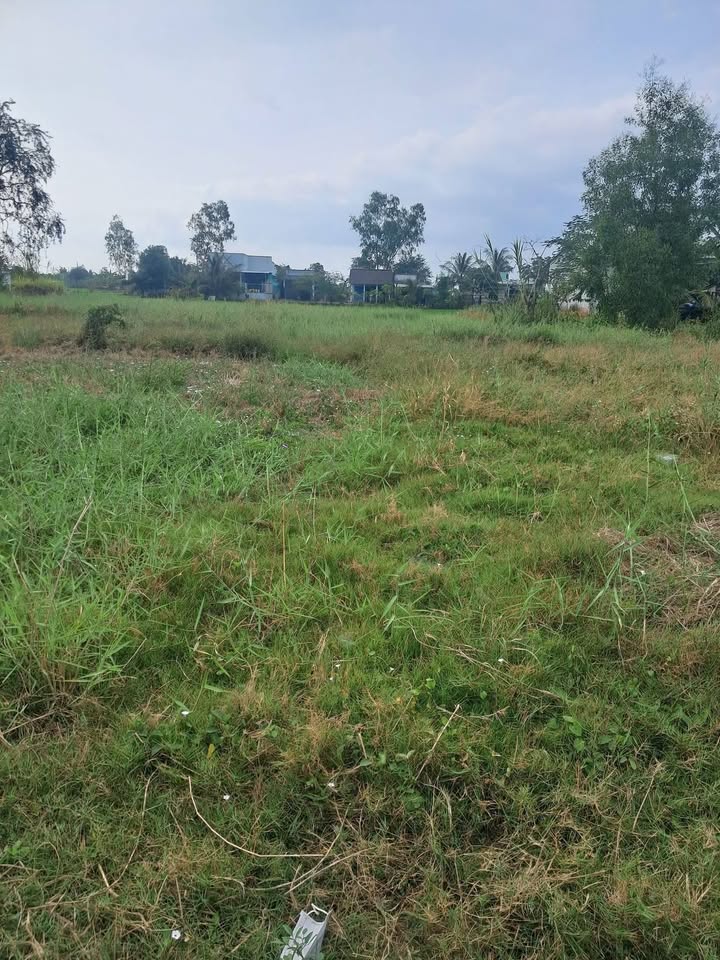 Đất nền phường Long Chánh, Gò Công, Tiền Giang 138m² giá 420 triệu - Cơ hội đầu tư tuyệt vời!