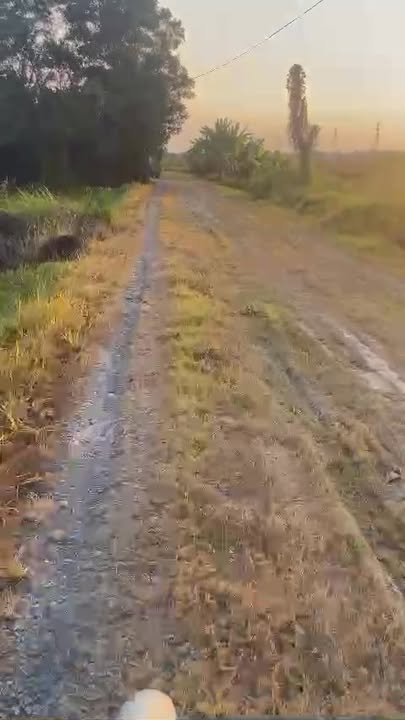 Đất lúa 500m² tại Ấp 7, Tân Thạnh Đông, Củ Chi - Giá 750 triệu, Sổ hồng chính chủ!