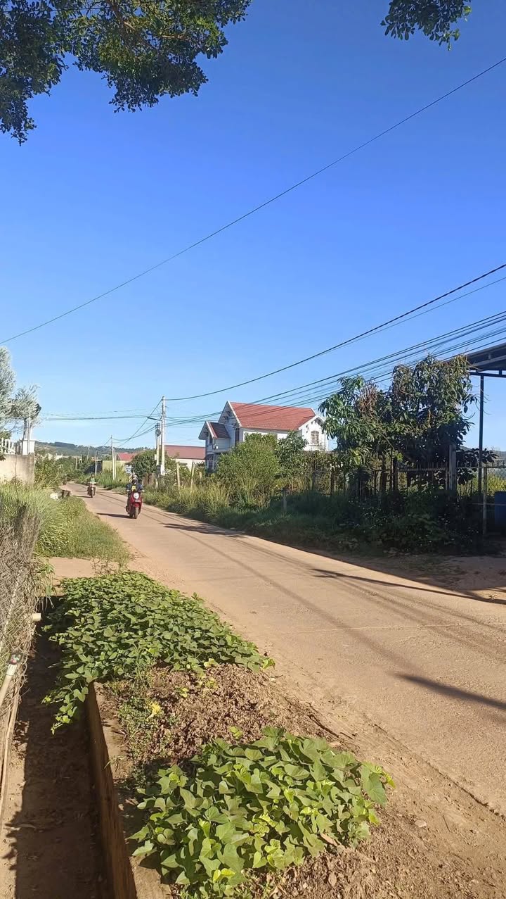 Đất thổ cư 200m² mặt đường chính xã Nam Hà giá 2.3 tỷ - Cơ hội đầu tư hấp dẫn!