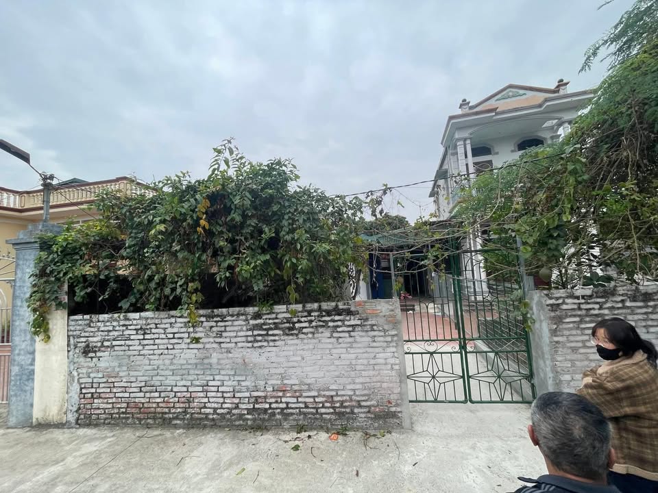 Đất thổ cư 117m² tại Thôn An Điềm, Cẩm Giàng - Cơ hội đầu tư tốt!