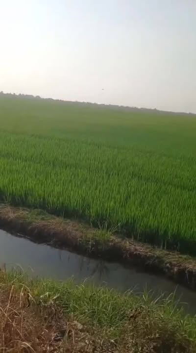 Đất nền 1000m² xã Hòa Điền, Kiên Lương giá 95 triệu - Cơ hội đầu tư hấp dẫn!