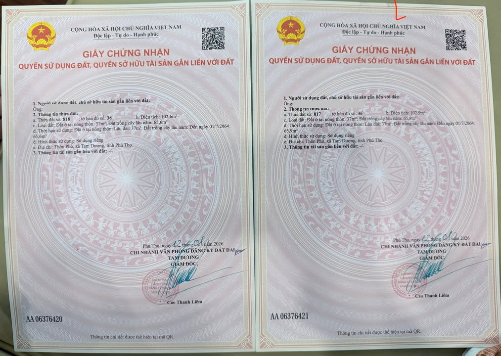 Đất nền Đạo Tú, Tam Dương 213m² giá 1.7 tỷ - Cơ hội đầu tư hấp dẫn!