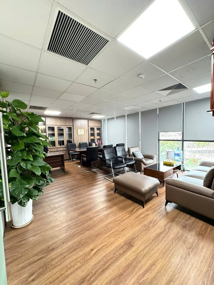 Sàn văn phòng cho thuê tại Mỹ Đình 250m² - Giá tốt, vị trí đắc địa!