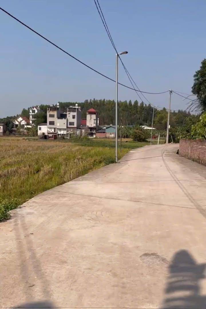 Đất nền 400m² tại Tân Thanh - Lạng Giang giá chỉ 1,3 tỷ - Phù hợp xây biệt thự vườn!