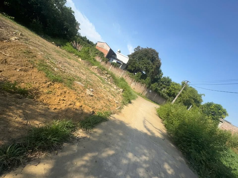 Lô đất thổ cư 99,9m² tại xã Gia Hòa, giá chỉ 400 triệu - Cơ hội đầu tư tuyệt vời!