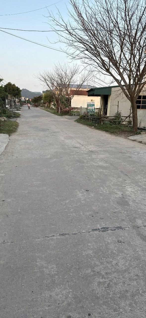 Đất nền thôn Đồng Thanh, Nho Quan, 120m² - Đầu tư sinh lời lý tưởng!