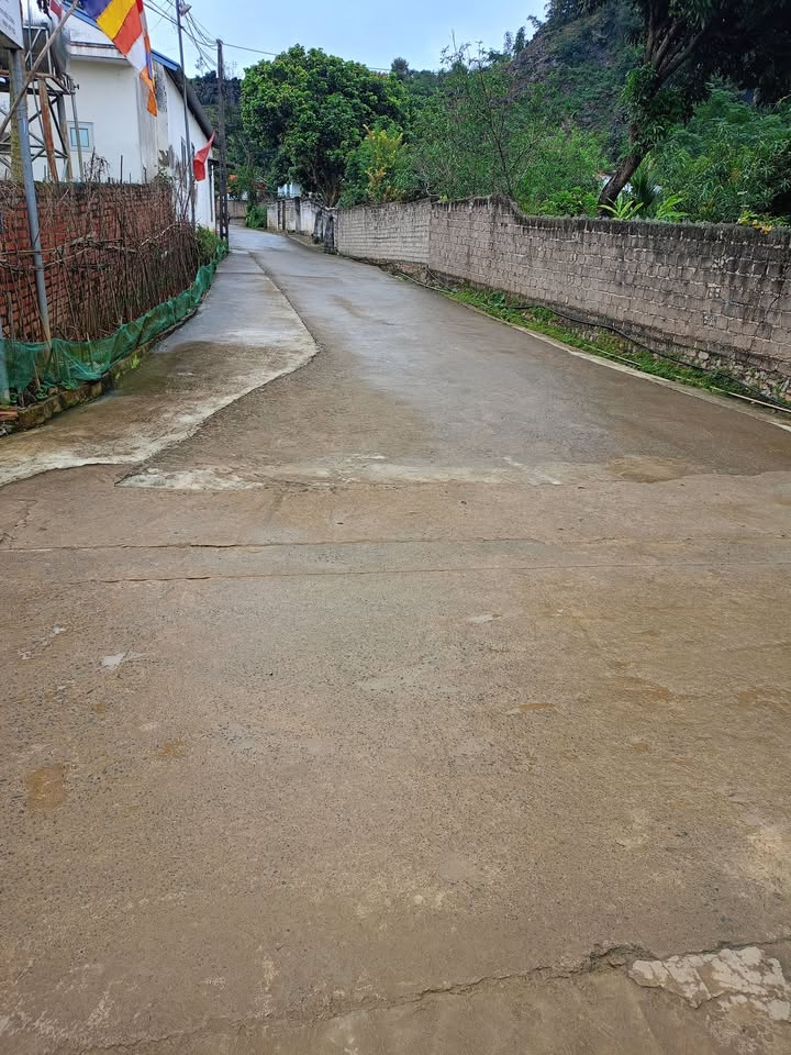 Đất thổ cư tổ dân phố Hoa Đào, phường Vân Sơn 232m² - Giá thỏa thuận