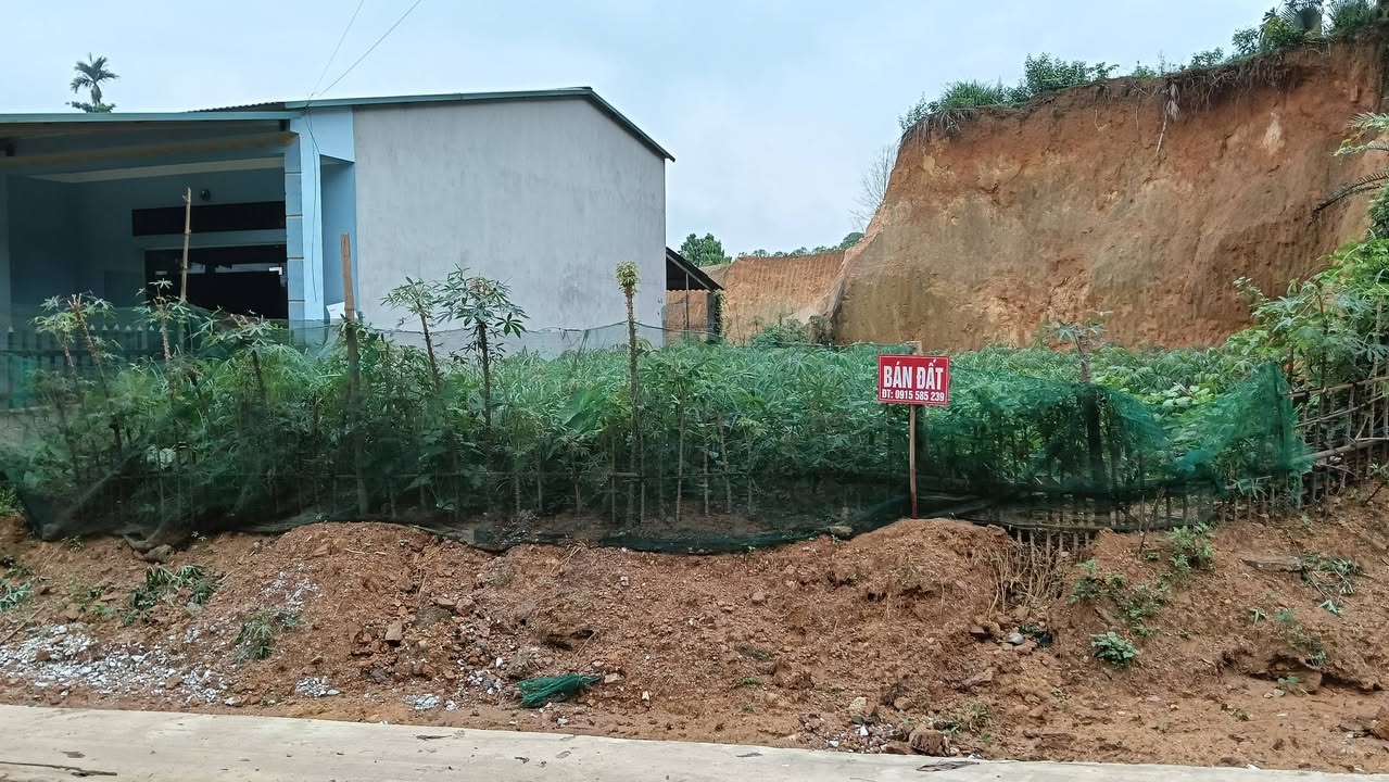 Đất thổ cư chính chủ tại Văn Phú, 368m² giá chỉ 850 triệu - Cơ hội đầu tư hấp dẫn!