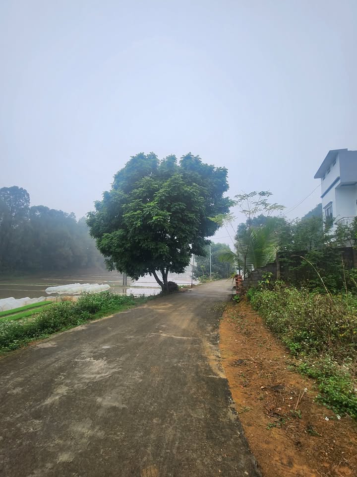 Đất nền Thanh Đình 400m² giá 1 tỷ - Cần tiền bán gấp!