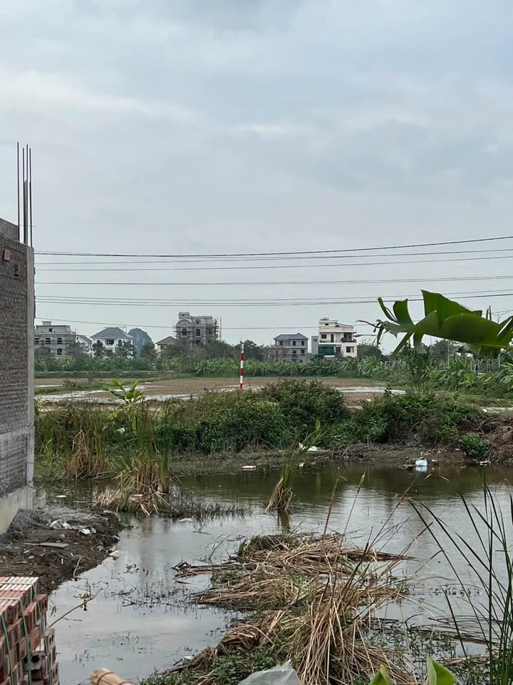 Lô đất Quảng Trường 2 Ninh Bình 105,6m² giá 8.xxx - Hướng Nam, thương lượng chính chủ!