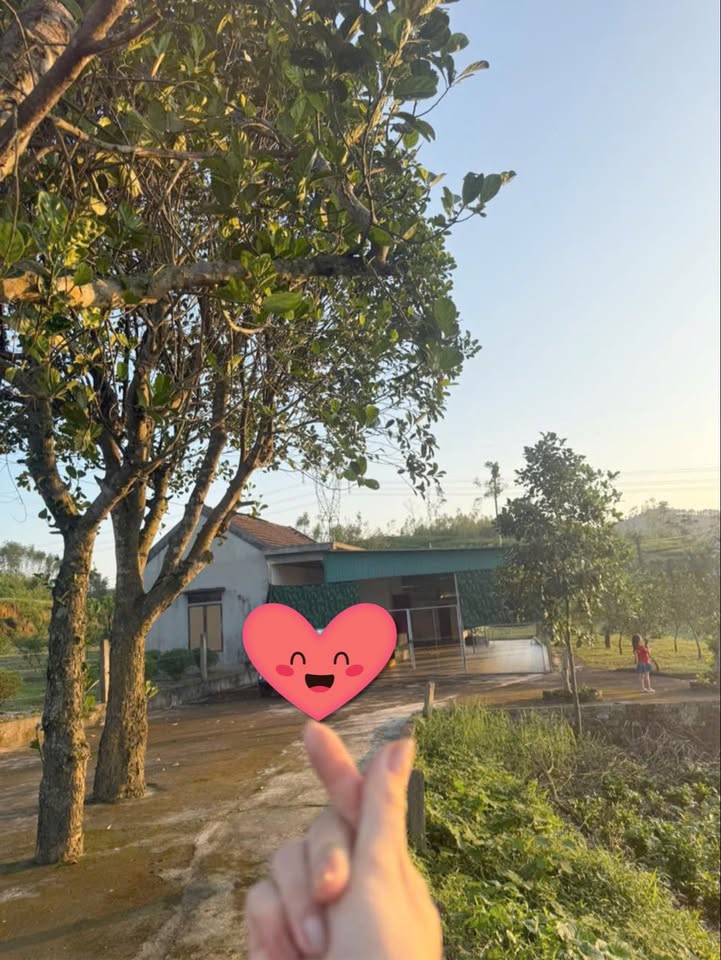 Farm tại Thượng Lộc, Can Lộc, Hà Tĩnh 6400m² - Vườn cây ăn quả, giá thỏa thuận!