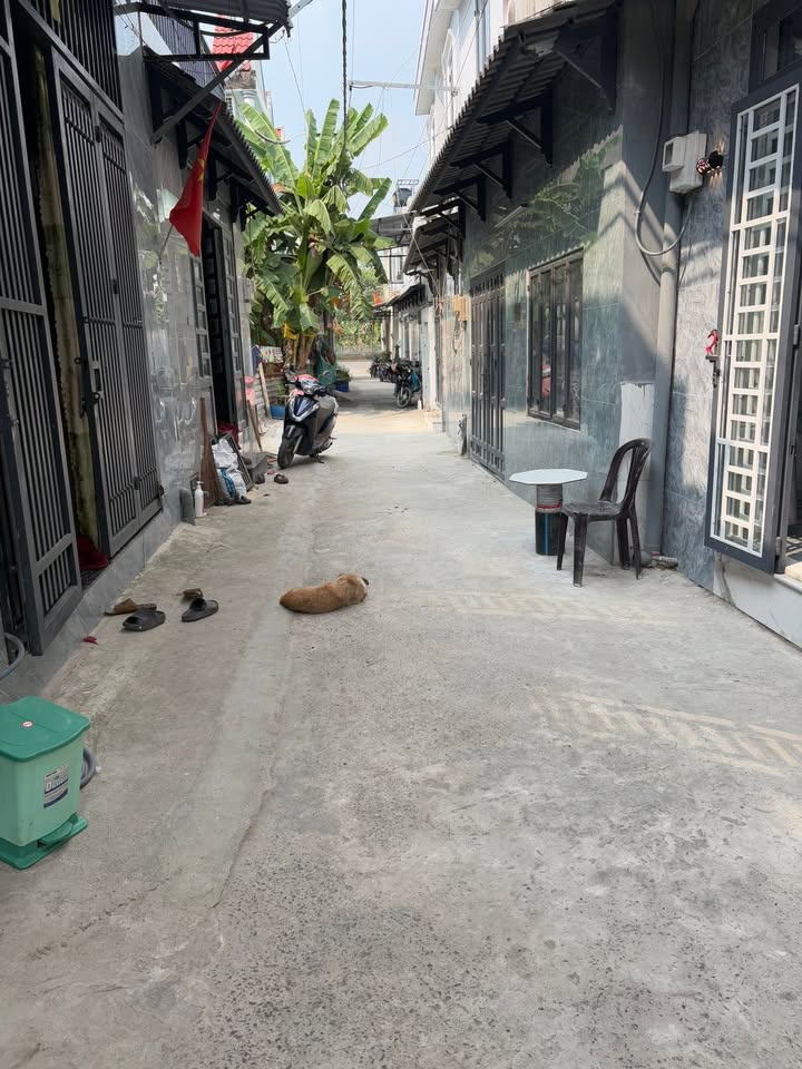 Nhà phố Thạnh Lộc, Quận 12, 28m² giá 1.55 tỷ - Chính chủ, An ninh tốt!